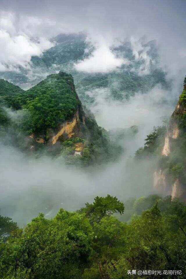 中国最委屈的山，明明是中华道教第一山，却入不了道教四大名山雄